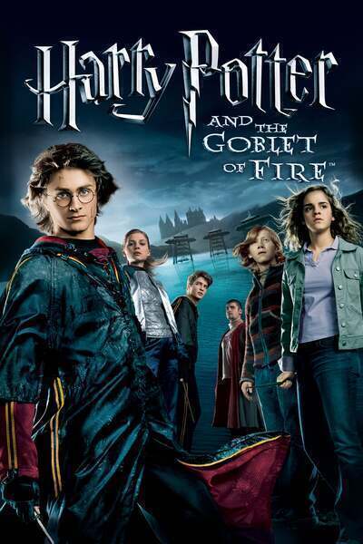 Harry Potter and the Goblet of Fire Hindi Dubbed Movie Poster (2005)