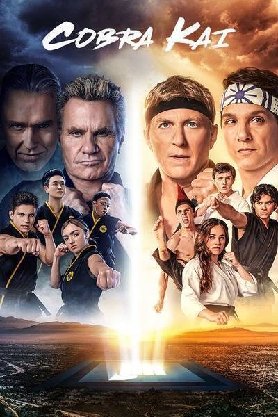 Cobra Kai Hindi Dubbed Movie Poster (2018)