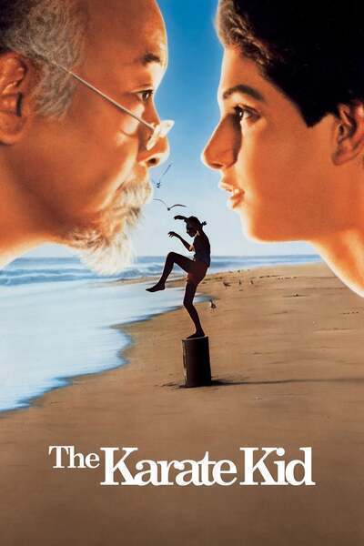 The Karate Kid Hindi Dubbed Movie Poster (1984)
