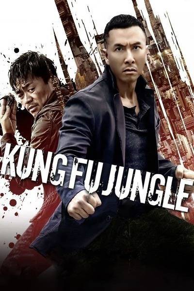 Kung Fu Jungle Hindi Dubbed Movie Poster (2014)