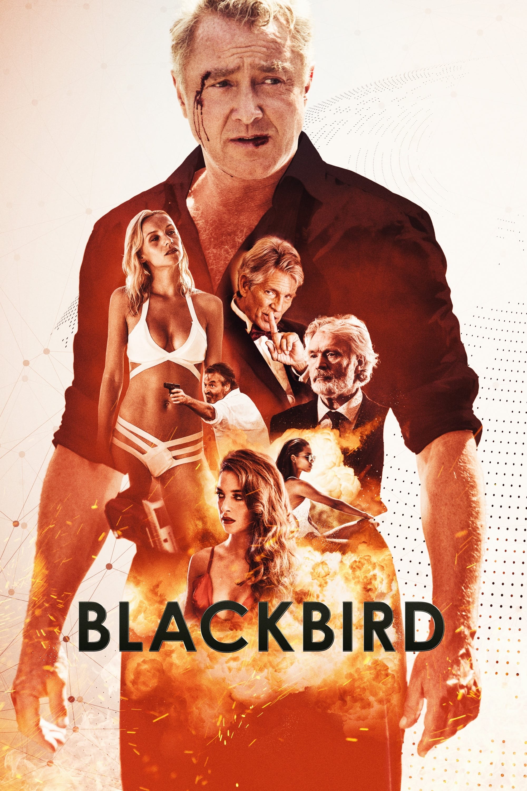 Blackbird Hindi Dubbed Movie Poster (2022)