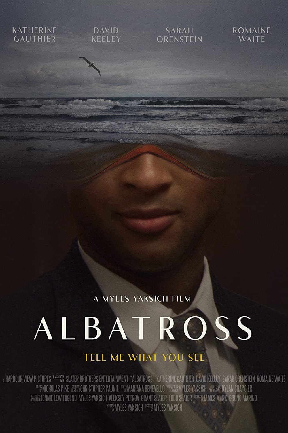 Albatross Hindi Dubbed Movie Poster (2022)