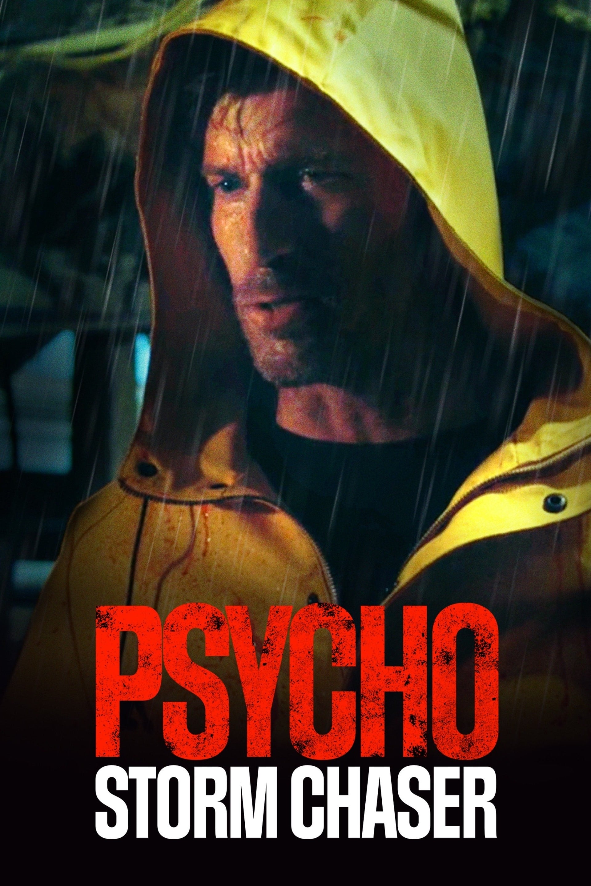 Psycho Storm Chaser Hindi Dubbed Movie Poster (2021)