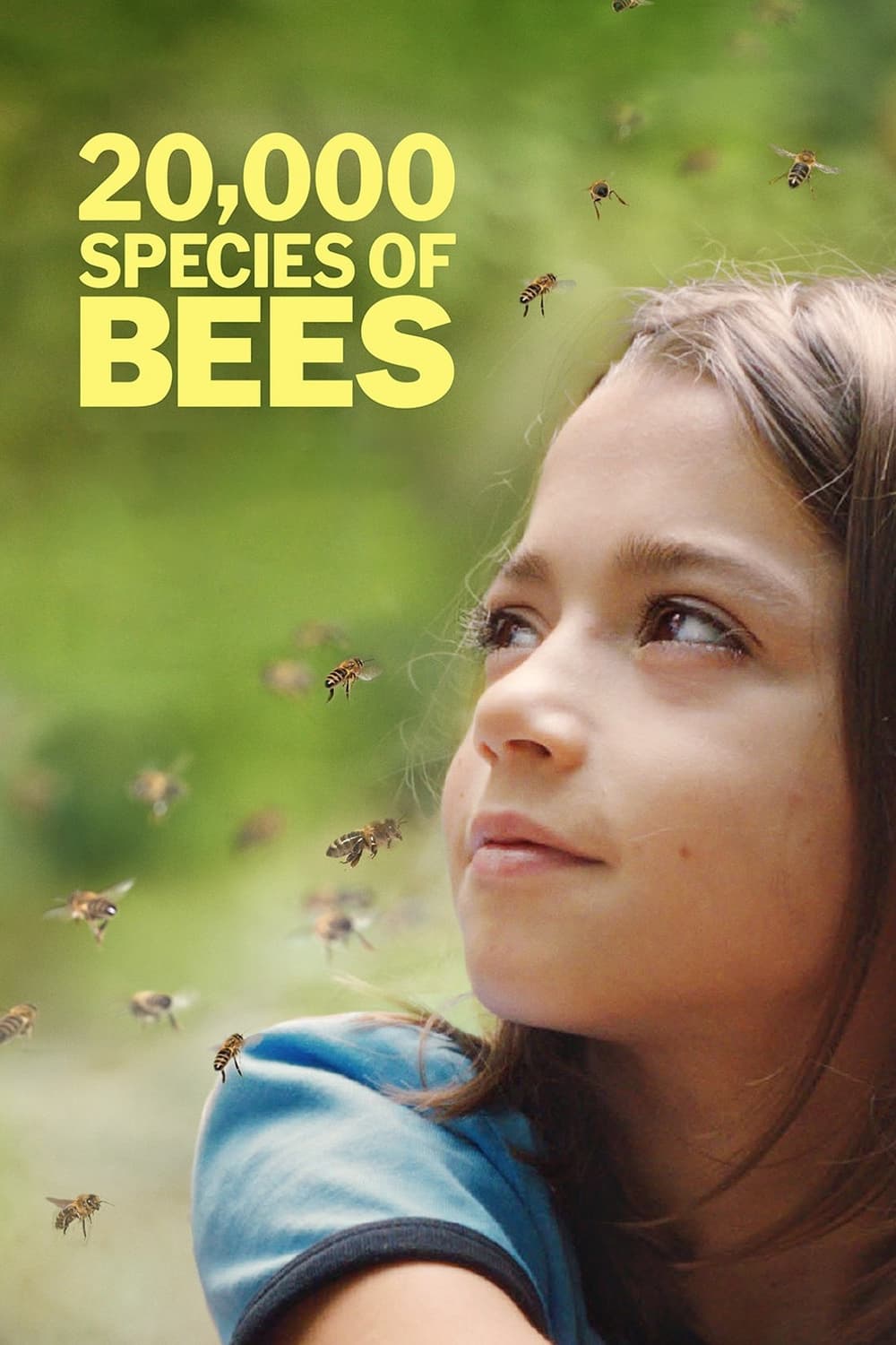 20,000 Species of Bees Hindi Dubbed Movie Poster (2023)