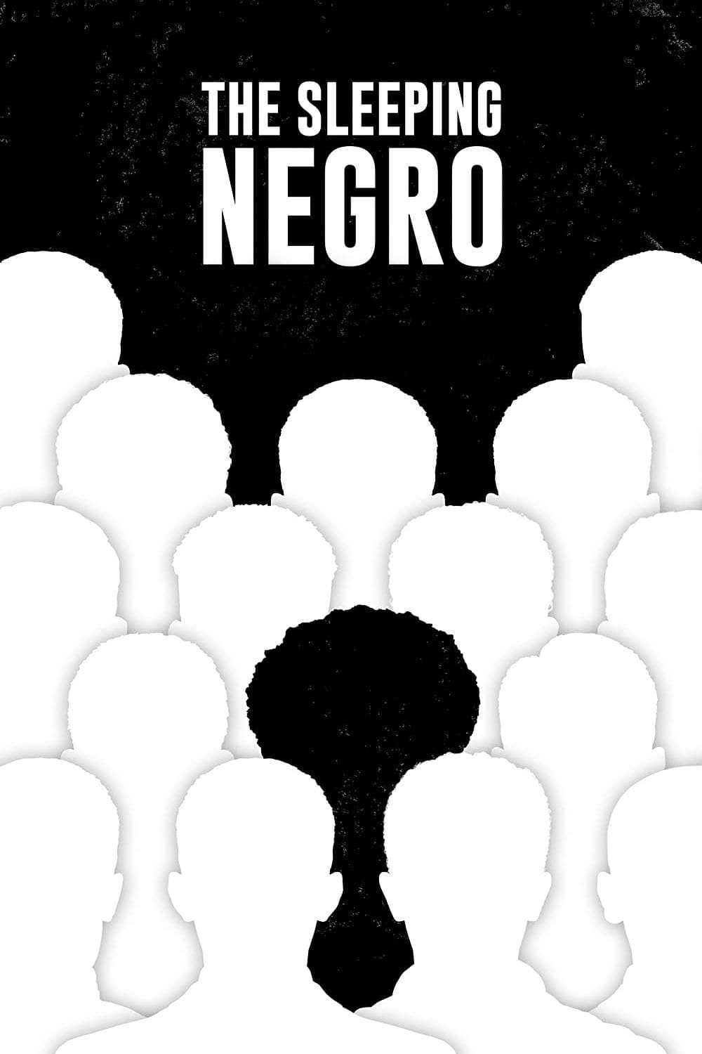 The Sleeping Negro Hindi Dubbed Movie Poster (2021)