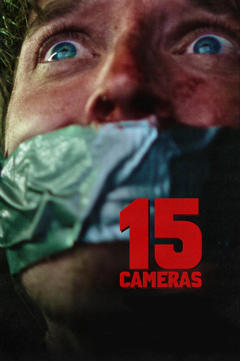 15 Cameras Hindi Dubbed Movie Poster (2023)