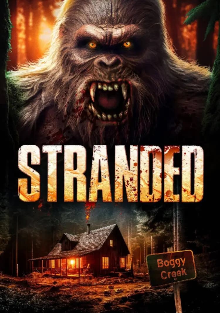 Stranded Hindi Dubbed Movie Poster (2023)
