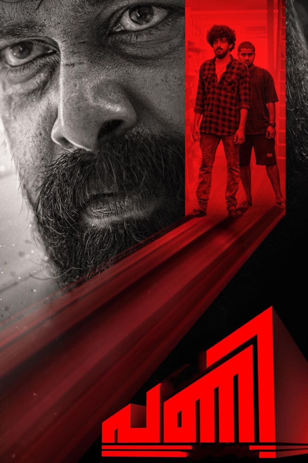 Pani Hindi Dubbed Movie Poster (2024)