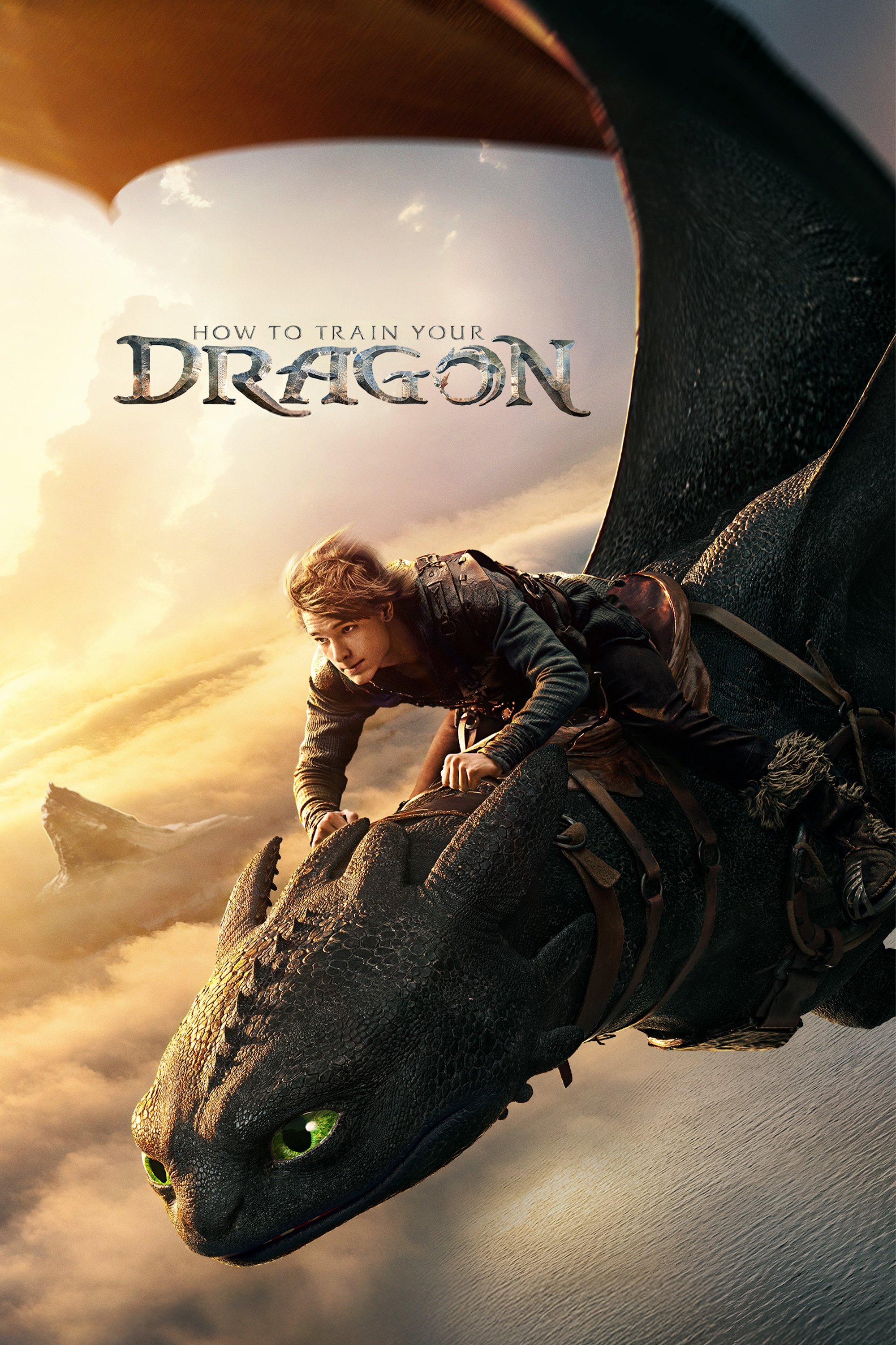 How to Train Your Dragon Hindi Dubbed Movie Poster (2025)