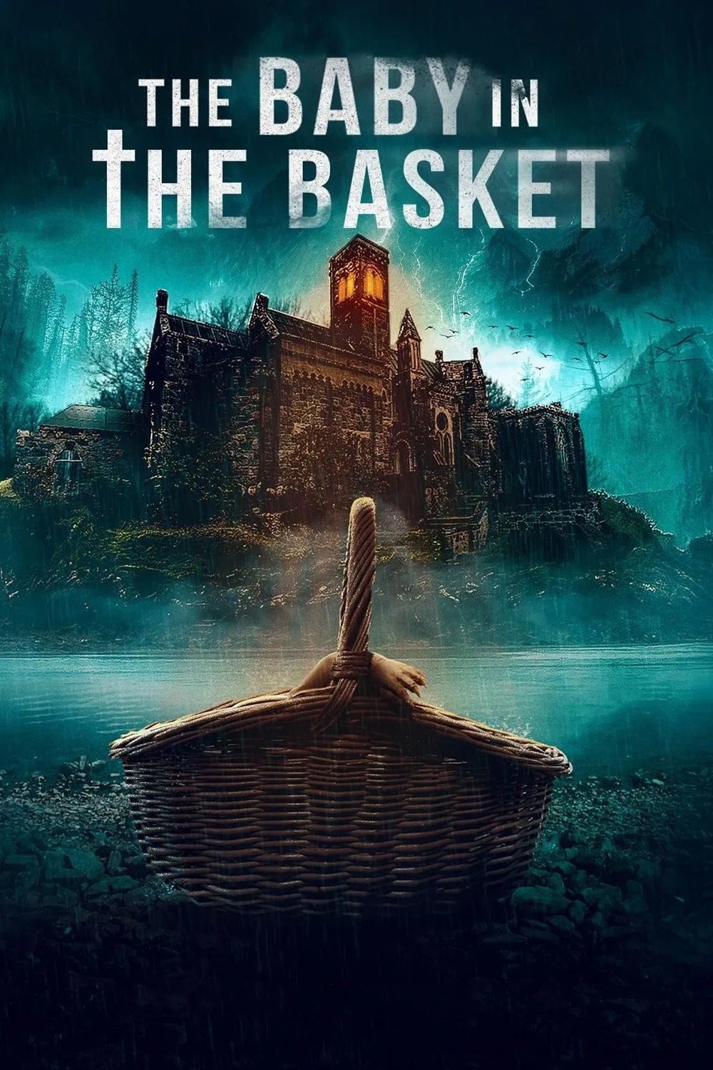 The Baby in the Basket Hindi Dubbed Movie Poster (2025)