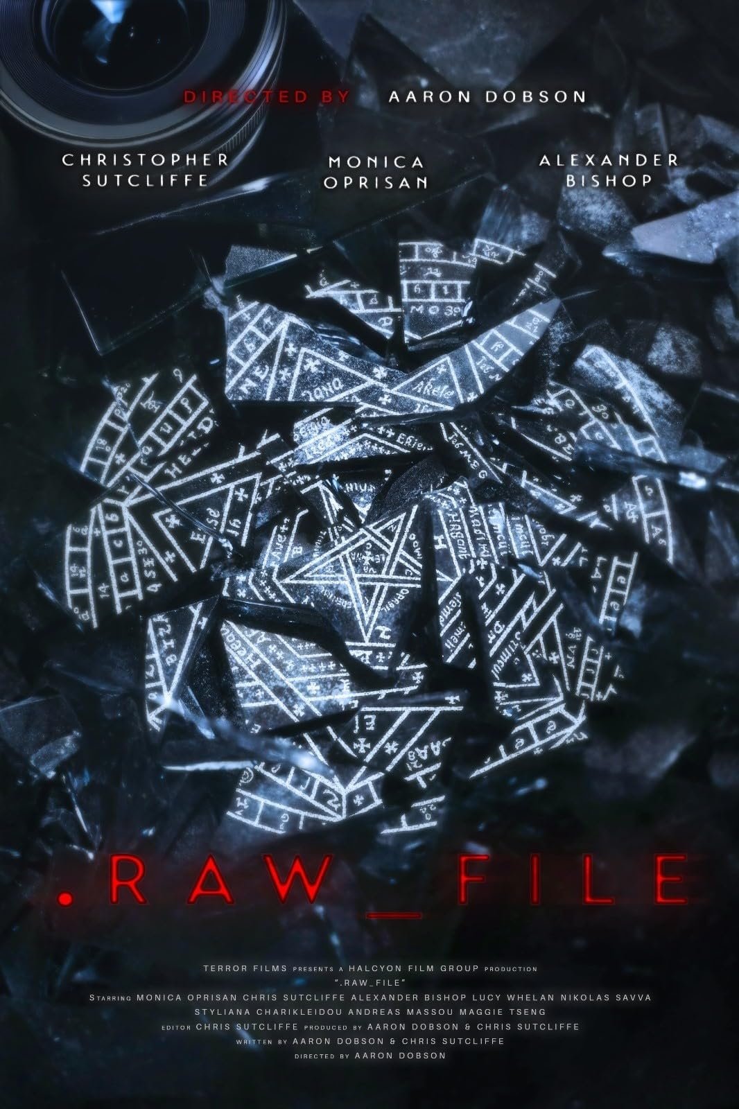 Raw File Hindi Dubbed Movie Poster (2025)